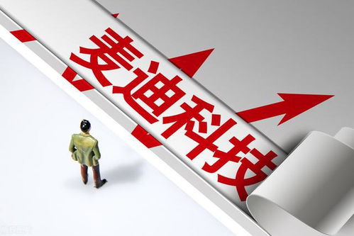 A股國產(chǎn)軟件低估值龍頭公司一覽（附知識(shí)產(chǎn)權(quán)服務(wù)領(lǐng)域名單）